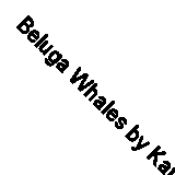  Beluga Whales by Katie Chanez  NEW Hardback