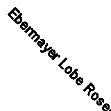 Ebermayer Lobe Rosen - Das Reichs-Strafgesetzbuch mit besonderer Berc - J555z