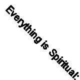 Everything is Spiritual: A Brief Guide to Who We Are and What W .9781529340259