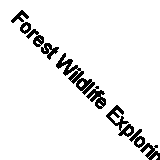 Forest Wildlife Exploring The Coon And Other Black White Canvas Print Large