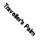 Traveller's Palm