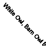 White Owl, Barn Owl By Nicola Davies,Michael Foreman. 9781406313116