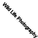 Wild Life Photography By Ann Guilfoyle, Susan Rayfield